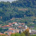 Homonatura. Sense Of Native Living. Pírgos