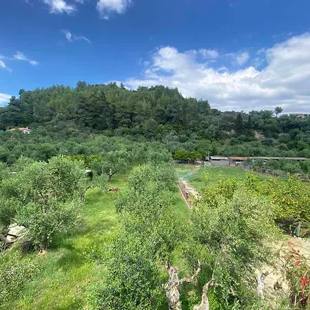 Διαμέρισμα Homonatura. Sense Of Native Living. Πύργος