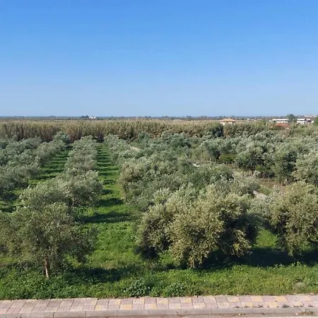 Homonatura. Sense Of Native Living. Διαμέρισμα *