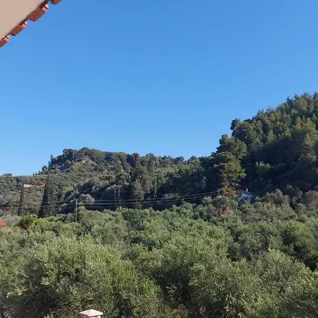 Homonatura. Sense Of Native Living.