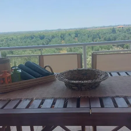 Homonatura. Sense Of Native Living.