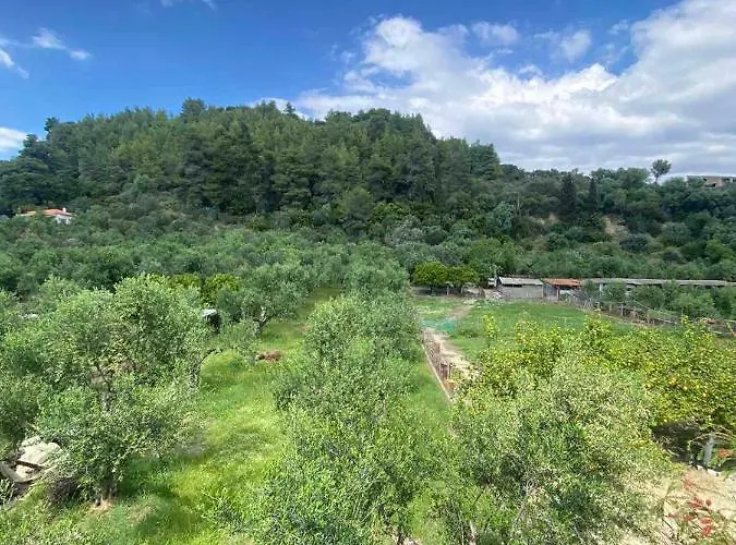 Apartman Homonatura. Sense Of Native Living. Pírgosz