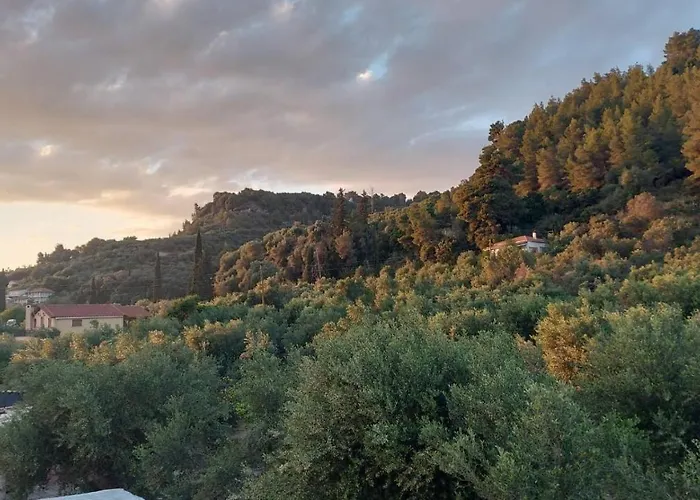 Homonatura. Sense Of Native Living. Pírgos