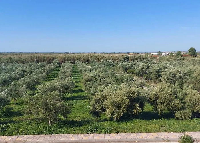 Homonatura. Sense Of Native Living. アパート *