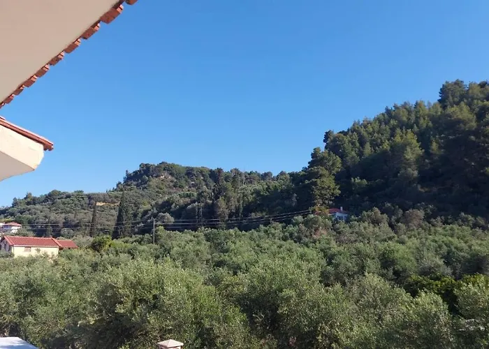 Homonatura. Sense Of Native Living.