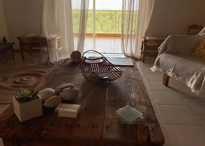 Homonatura. Sense Of Native Living.