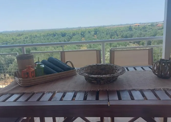 Homonatura. Sense Of Native Living.